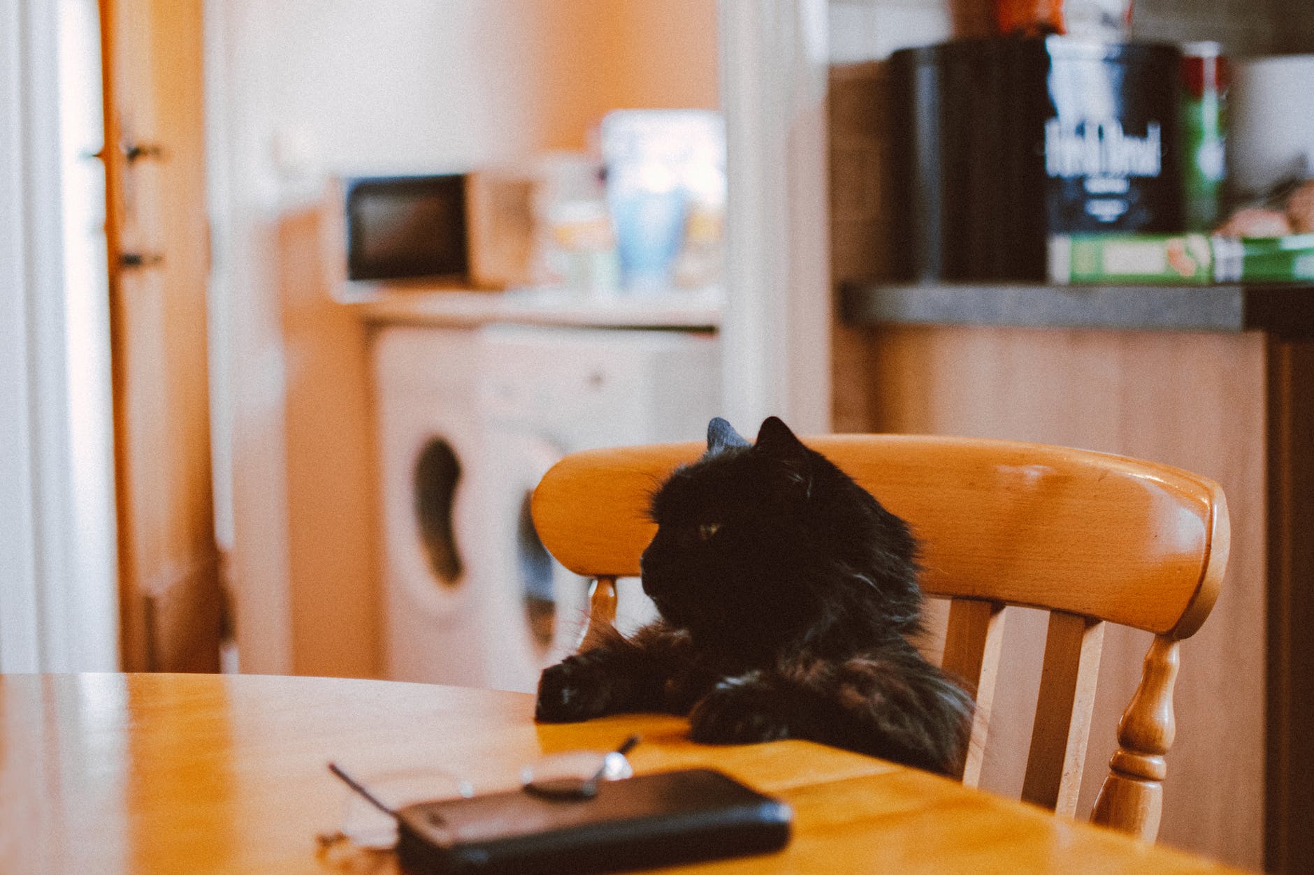Litter and litter box options matter